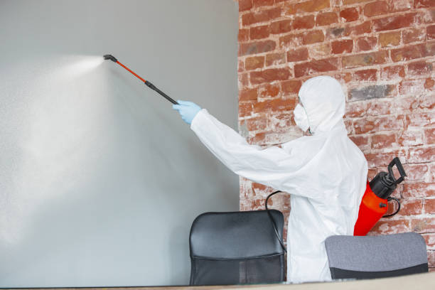 Best Mold Damage Restoration  in Wade, MS