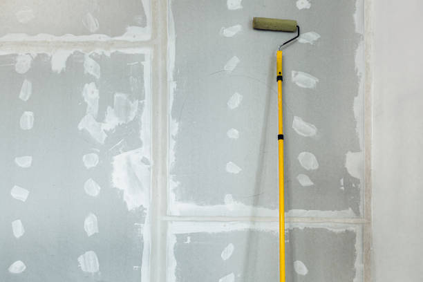 Reliable Wade, MS Mold Removal Solutions